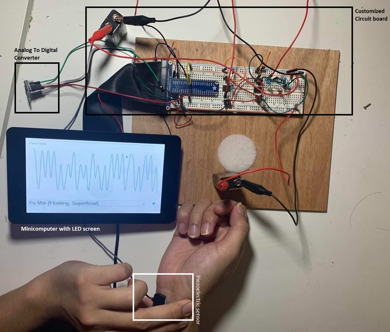 Pulse Monitoring — Part 2